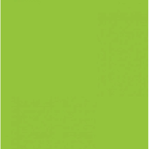 Картон Folia Photo Mounting Board 300 г/м2, 70x100 см, №50 Light green Салатовый