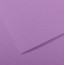Папір пастельний Canson Mi-Teintes 160 г/м2 50x65 см №113 Blueberry Чорничний