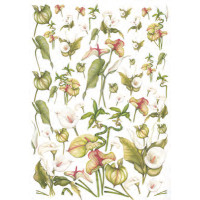 Карта для декупажу Калла розмір 50x70 см арт DECOUP01_012