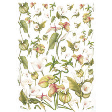 Карта для декупажу Калла розмір 50x70 см арт DECOUP01_012