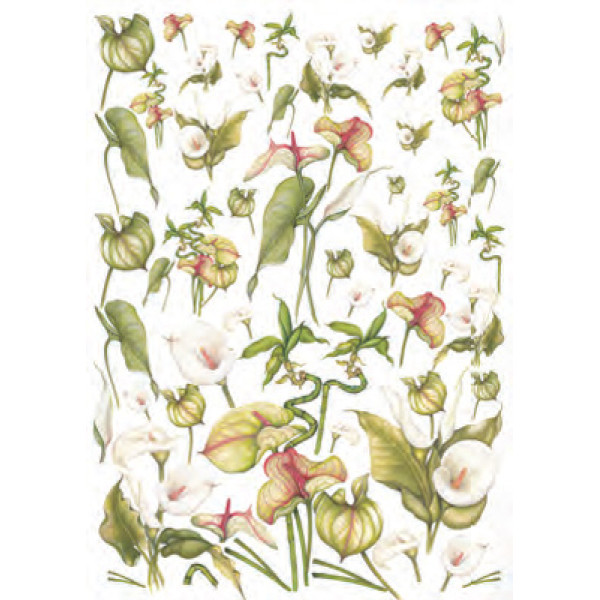 Карта для декупажу Калла розмір 50x70 см