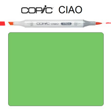 Маркер Copic Ciao YG-17 Grass green Зелений трав'яний