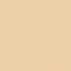 Папір Folia Tinted Paper 130 г/м2, 20х30 см №10 Chamois Бежевий