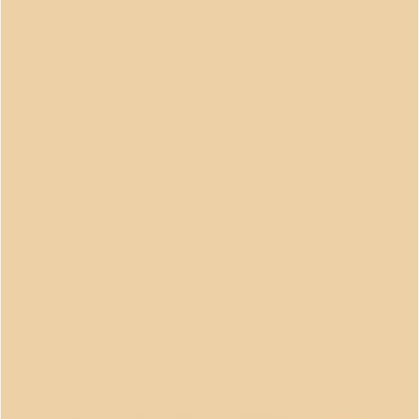 Папір Folia Tinted Paper 130 г/м2, 20х30 см №10 Chamois Бежевий