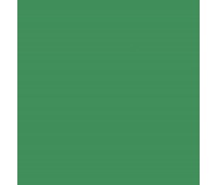Картон Folia Photo Mounting Board 300 г/м2, 70x100 см, №53 Moss green Зеленый мох