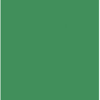 Картон Folia Photo Mounting Board 300 г/м2, 70x100 см №53 Moss green Зелений мох