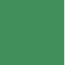 Картон Folia Photo Mounting Board 300 г/м2, 70x100 см, №53 Moss green Зеленый мох