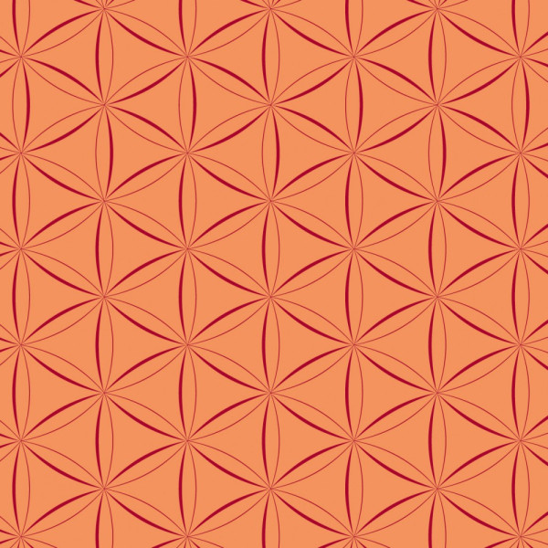 Папір для орігамі Folia Folding Papers 15x15 см, 50 аркушів, 80 г/м2, червоний