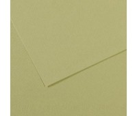 Бумага пастельная Canson Mi-Teintes, 160 г/м2, A4 #480 Light green Светло-зеленый