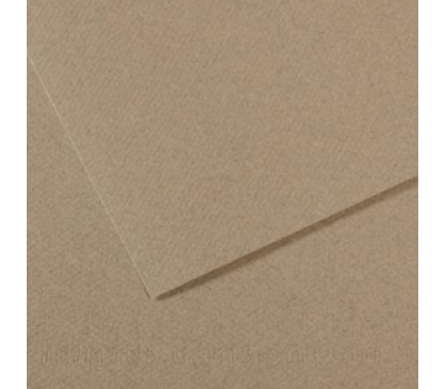 Папір пастельний Canson Mi-Teintes 160 г/м2 50x65 см №429 Felt gray Фетровий сірий