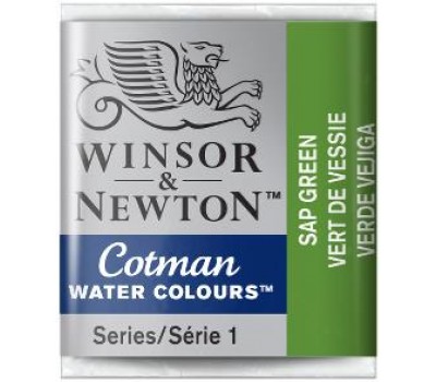 Акварельная краска Winsor Newton Cotman Half Pan, № 599 Зелень сушеная