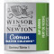 Акварельная краска Winsor Newton Cotman Half Pan, № 599 Зелень сушеная