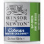 Акварельная краска Winsor Newton Cotman Half Pan, № 599 Зелень сушеная