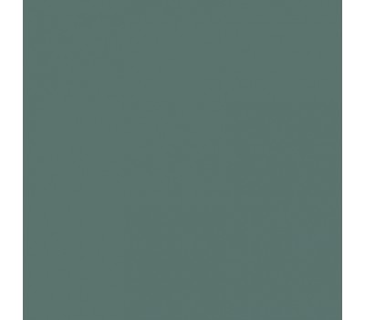 Акриловая краска Cadence Premium Acrylic Paint, 25 мл, Зеленая плесень