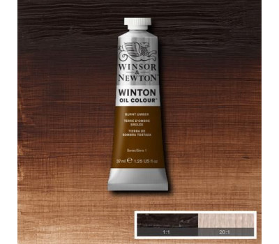 Масляна фарба Winsor Newton Winton Oil Colour 37мл №76 Burnt umber Умбра палена