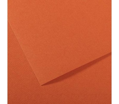 Бумага пастельная Canson Mi-Teintes, 160 г/м2, A4 №115 Mistical orange Мандариновый