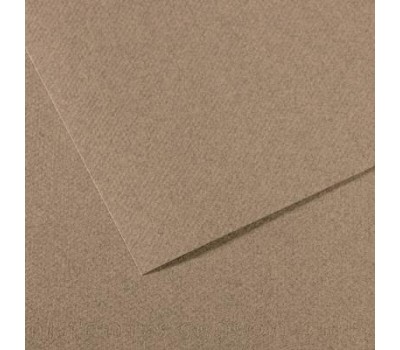 Бумага для пастели Canson Mi-Teintes 160 гр, A4 №431 Steel gray (Стальний сірий)
