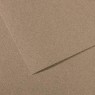 Бумага пастельная Canson Mi-Teintes, 160 гр, A4 №431 Steel gray Стальний сірий арт 0331-670