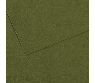 Папір пастельний Canson Mi-Teintes, 160 г/м2, A4 №448 Ivy Темно-зелений