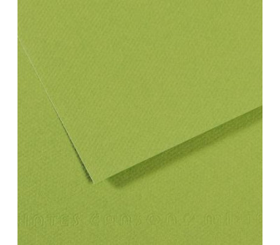 Бумага пастельная Canson Mi-Teintes 160 г/м2 50x65 см №475 Apple green Яблочно-зеленый