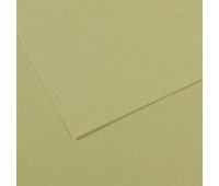 Бумага пастельная Canson Mi-Teintes 160 г/м2 50x65 см №480 Light green Светло-зеленый