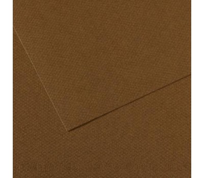 Бумага пастельная Canson Mi-Teintes 160 г/м2 50x65 см №501 Tobacco Табачный