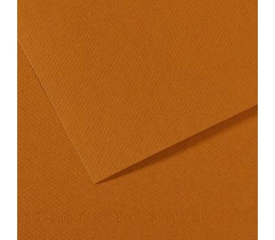 Бумага пастельная Canson Mi-Teintes 160 г/м2 50x65 см №502 Bisque Светло-коричневый