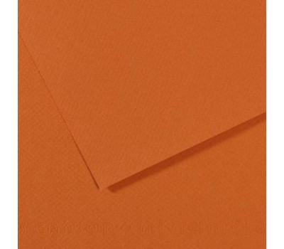 Папір пастельний Canson Mi-Teintes 160 г/м2 50x65 см №504 Amber Бурштиновий
